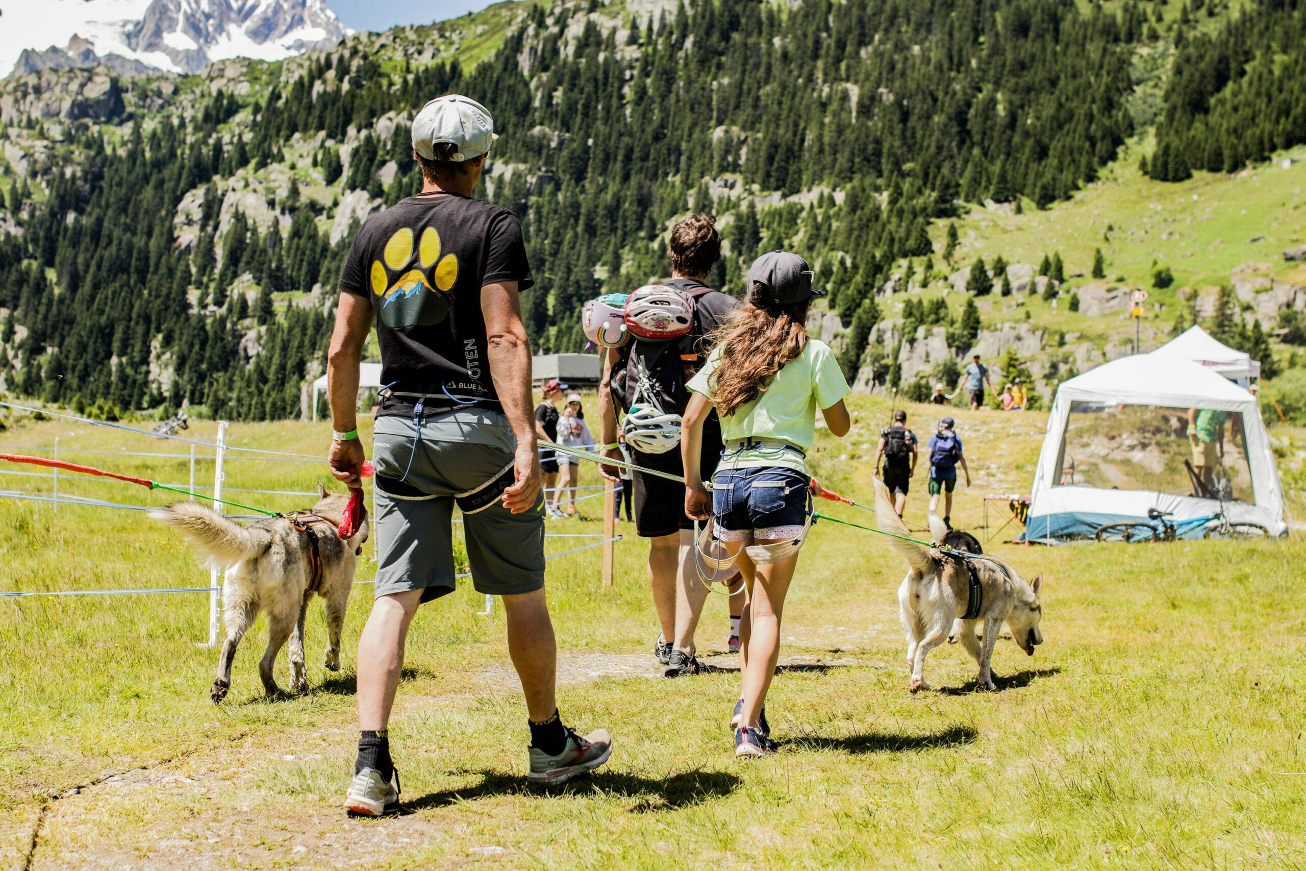 polarpfoten-nicoguide-huskytrekking-goeschenen-sommer